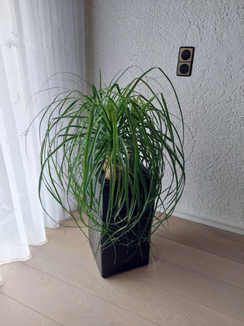Harzhaus Rauch Apartment Braunlage Bilik gambar